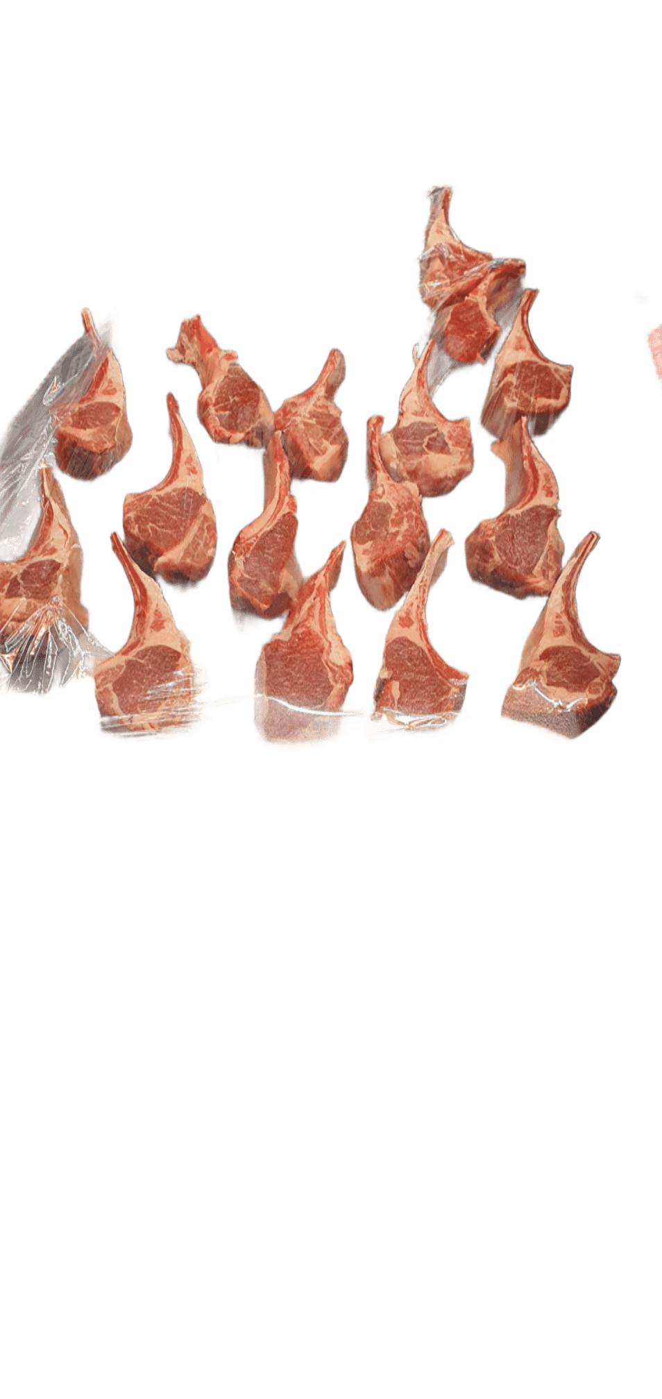 Lamb chop